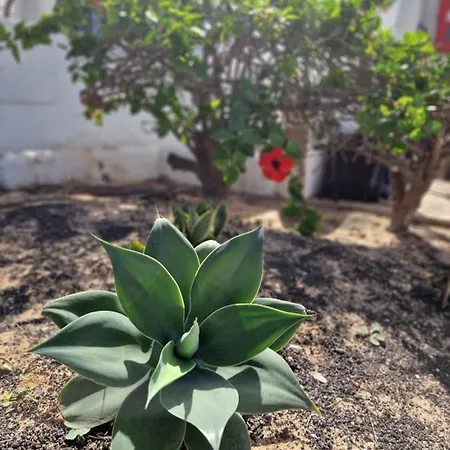Apartamento Casa Vivi Fuerteventura